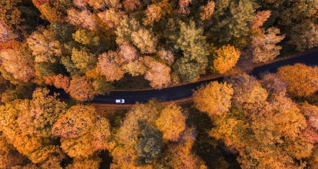 driving down the road in the fall
