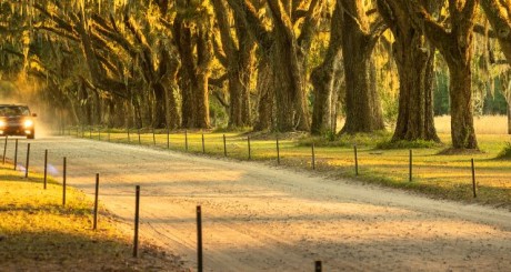 small car driving down rural road alone