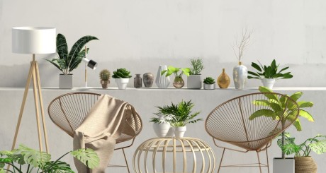 plantas decorativas de interior y plantas de mimbre